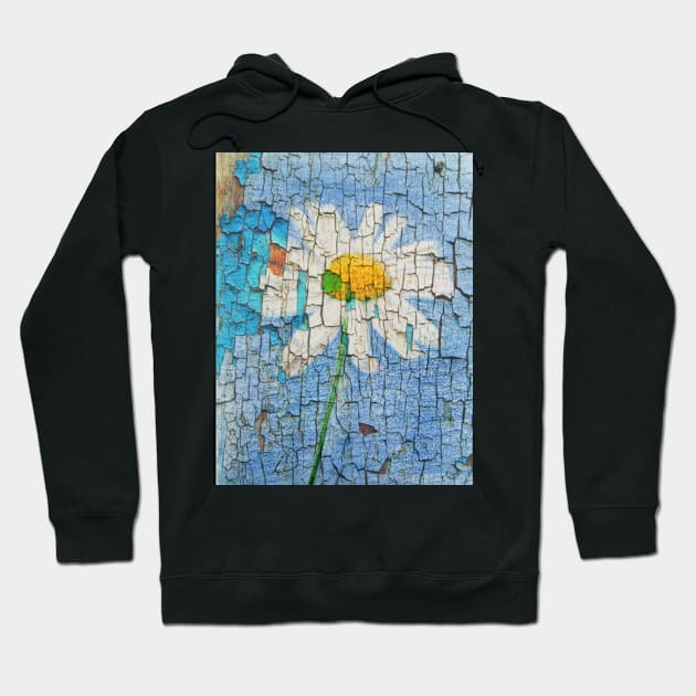 Daisy Hoodie by teenamarie23art